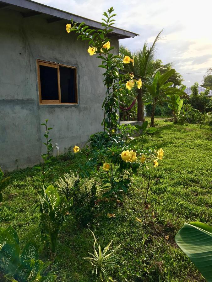 Casa Salvaje Vacation Rentals Bocas Town Exterior foto