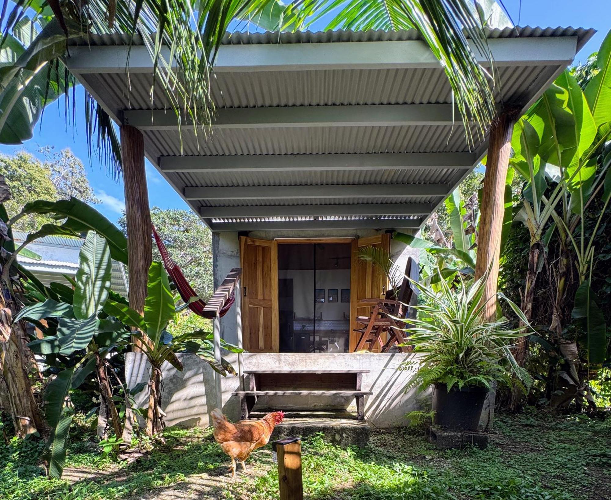 Casa Salvaje Vacation Rentals Bocas Town Exterior foto