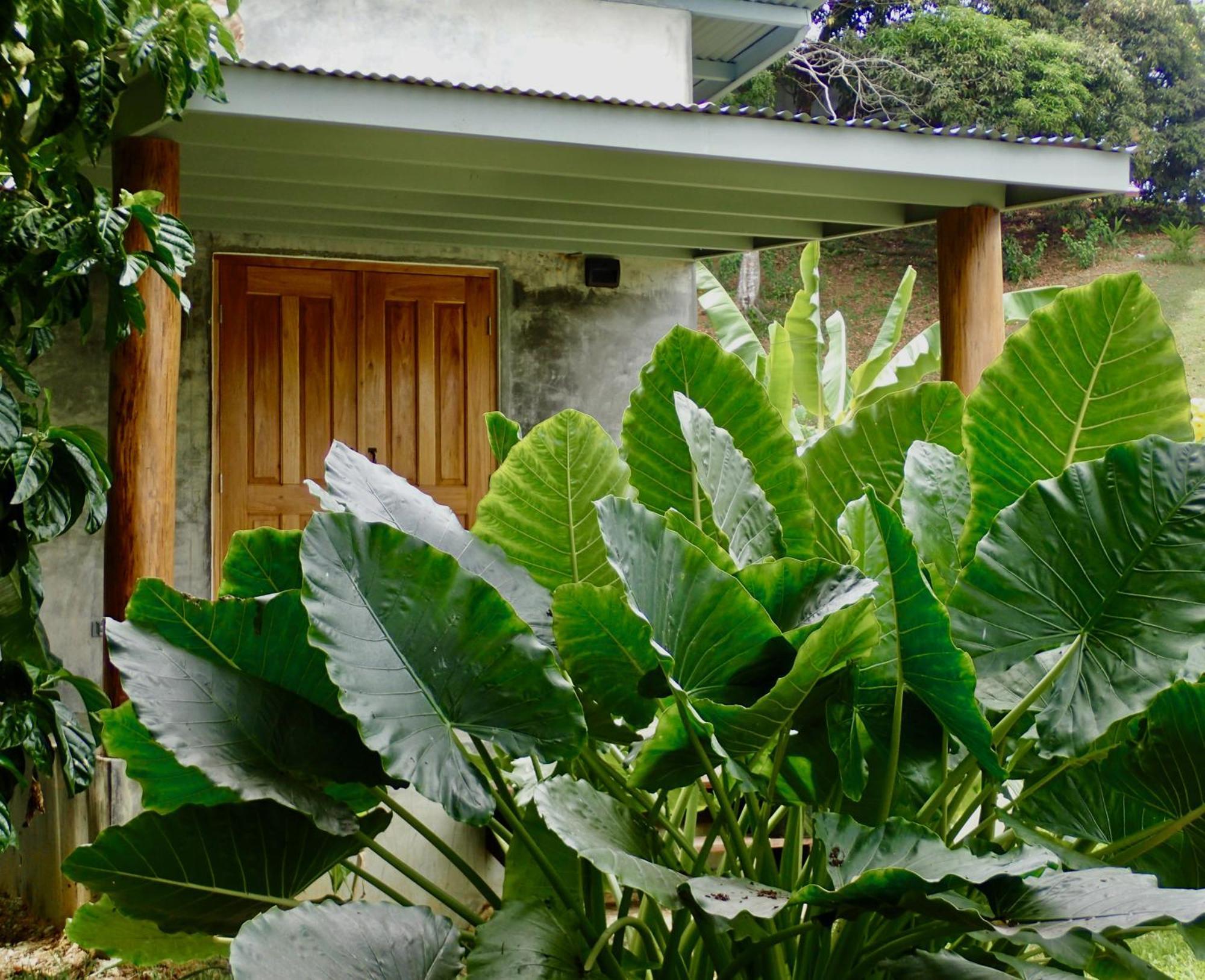 Casa Salvaje Vacation Rentals Bocas Town Exterior foto
